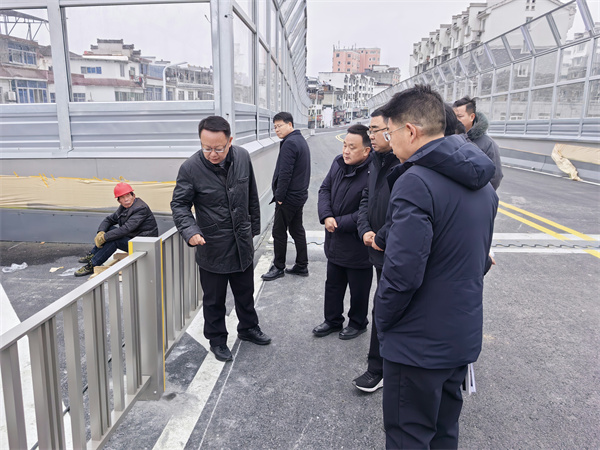 1月20日，汪凱書記到跨鐵路橋項目進行調(diào)研，洪董、張總陪同。.jpg